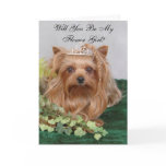 Yorkie, Will You Be My Flower Girl? cards