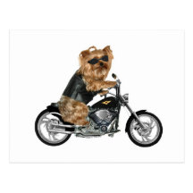 Yorkie Yorkshire Terrier Biker Postcards