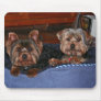 Yorkies - buddies use mat