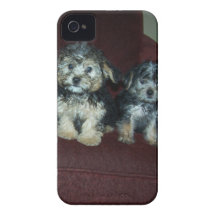 Yorkies iPhone 4 Cases