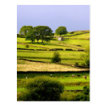 Yorkshire landscape postcard