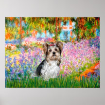 Yorkshire Terrier (Biewer) - Garden Print