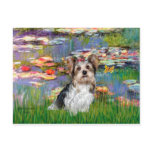 Yorkshire Terrier (Biewer) - Lilies 2 postcards