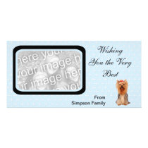 Yorkshire Terrier - Blue w/ White Diamond Design