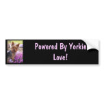 Yorkshire Terrier bumper stickers
