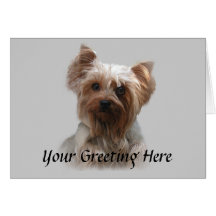 Yorkshire Terrier Card