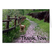 Yorkshire Terrier Card Thank You