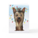 Yorkshire Terrier Christmas cards