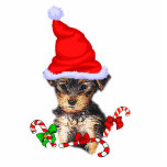 Yorkshire Terrier Christmas Gifts  Ornament photo sculptures