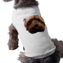 Yorkshire Terrier Dog Clothing