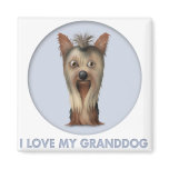 Yorkshire Terrier Granddog magnets