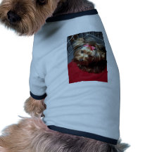 Yorkshire Terrier in show cage Doggie Tshirt
