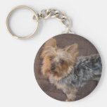 Yorkshire Terrier keychain