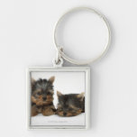Yorkshire Terrier Keychains