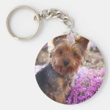 Yorkshire Terrier Keychains