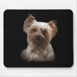 Yorkshire Terrier Mousepad