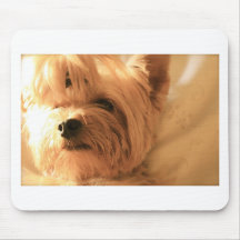Yorkshire Terrier Mousepad