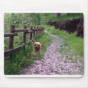 Yorkshire Terrier Mousepad Garden