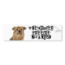 Yorkshire Terrier on Board