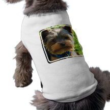 Yorkshire Terrier Pet Shirt