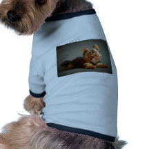 Yorkshire Terrier Pet Tee