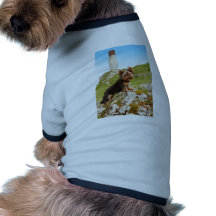 Yorkshire Terrier Pet Tee