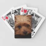 Yorkshire Terrier Playing Cards