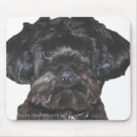 Yorkshire Terrier-Poodle Mix mousepads