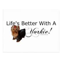 Yorkshire Terrier Post Card