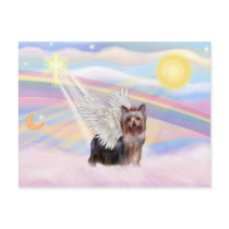 Yorkshire Terrier Post Cards