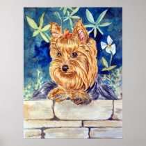 Yorkshire Terrier Print