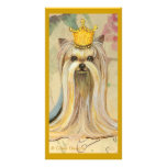 Yorkshire Terrier Princess n Roses photo cards