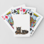Yorkshire Terrier Puppies Playing Cards