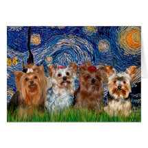 Yorkshire Terrier Quad - Starry Night Cards