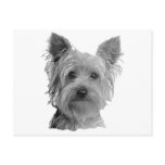 Yorkshire Terrier Stylised Image