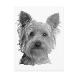 Yorkshire Terrier Stylised Image