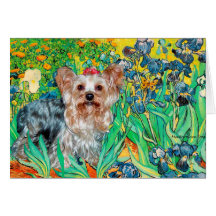 Yorkshire Terrier (T) - Irises Greeting Cards