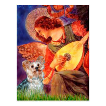 Yorkshire Terrier (T) - Mandolin Angel Post Card