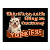YORKSHIRE TERRIERS POSTCARDS