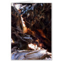 Yosemite Deer - Card