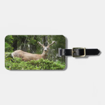 Yosemite Deer Luggage Tag