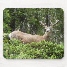 Yosemite Deer Mousepad