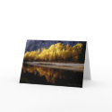 Yosemite Fall Colours cards