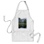 yosemite falls reflection aprons