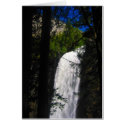 yosemite falls through trees cards