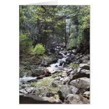 Yosemite in Springtime:  Bridalveil Falls Trail Greeting Card