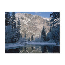 Yosemite national Park, California USA Postcard