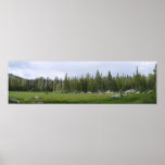 Yosemite Panorama posters