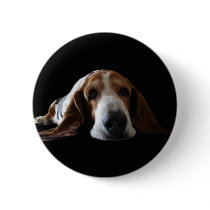 You ain't nothin but a hound dog