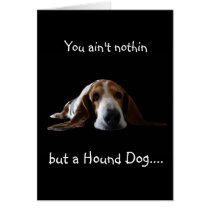 You ain't nothin but a hound dog